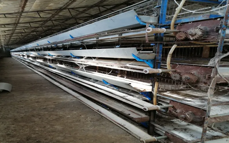 Yeni Yumurta Kafesimiz